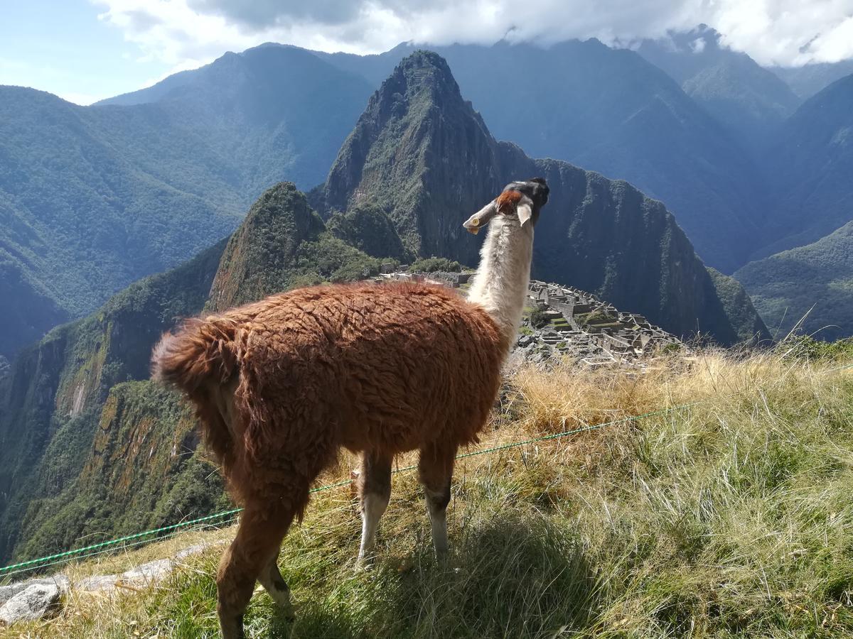Golden Sunrise Machupicchu Hotel Екстериор снимка